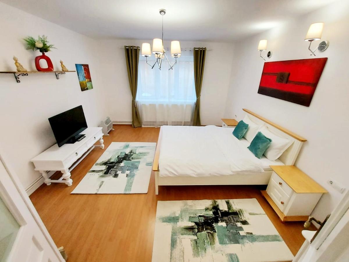 Casa Dusa - Apartament Crisstina Lejlighed Braşov Eksteriør billede